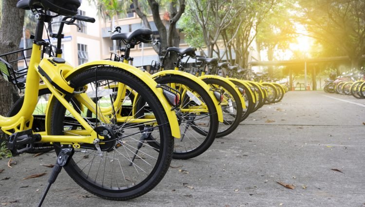 Andar de bicicleta – principais benefícios