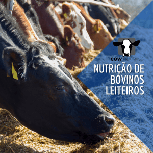 Curso de Nutrição e Manejo de Vacas Leiteiras